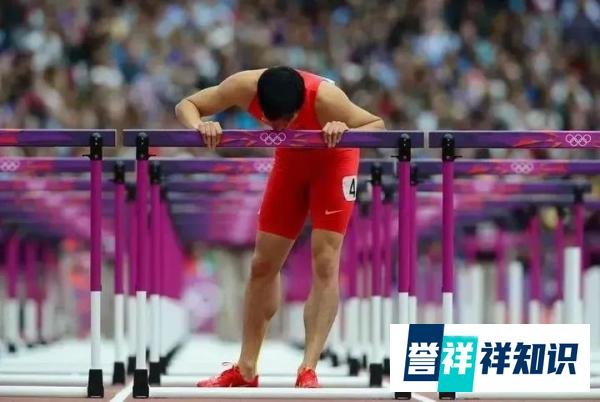 5亿人在线道歉:刘翔,这一声对不起来迟了