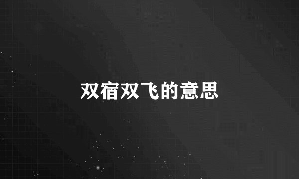 双宿双飞的意思