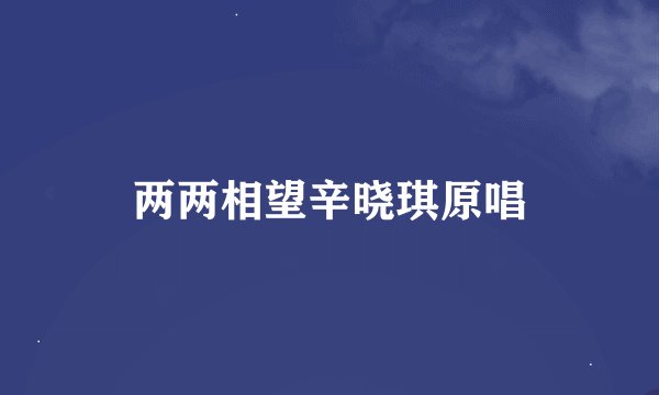 两两相望辛晓琪原唱