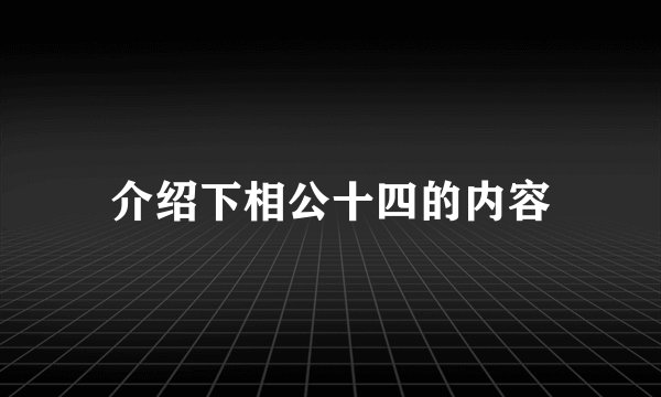 介绍下相公十四的内容