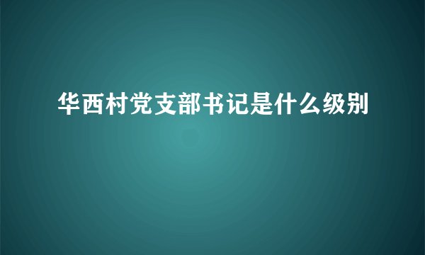 华西村党支部书记是什么级别