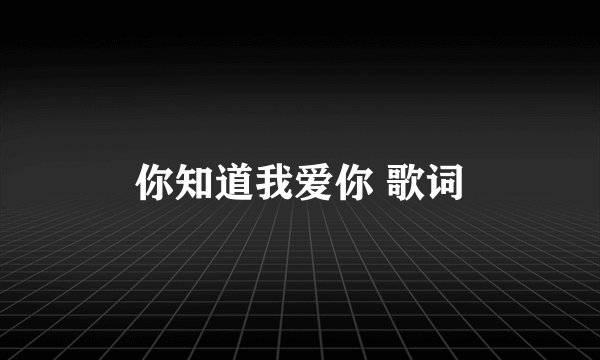 你知道我爱你 歌词