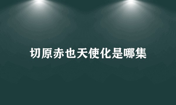 切原赤也天使化是哪集