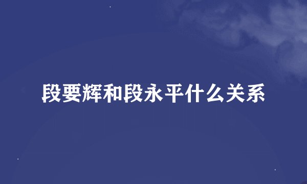 段要辉和段永平什么关系