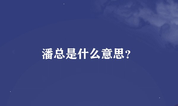 潘总是什么意思？