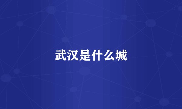 武汉是什么城