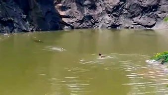 湖南5人结伴漂流2人死亡,造成死亡的原因是什么?