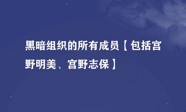 黑暗组织的所有成员【包括宫野明美、宫野志保】