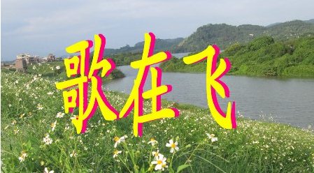 我的爱都是为你准备的是什么歌