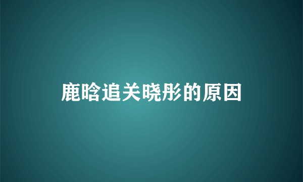 鹿晗追关晓彤的原因