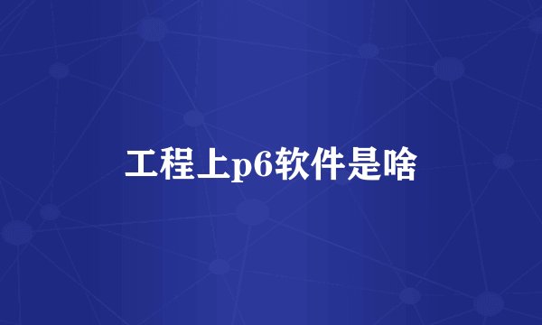 工程上p6软件是啥