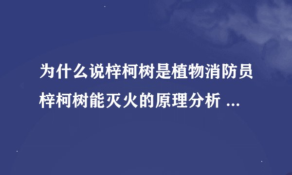 为什么说梓柯树是植物消防员梓柯树能灭火的原理分析 植物消防员梓柯树能灭火的原因