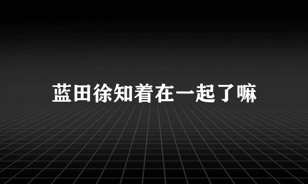 蓝田徐知着在一起了嘛