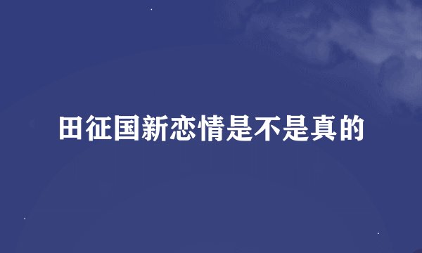 田征国新恋情是不是真的