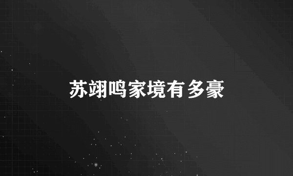 苏翊鸣家境有多豪