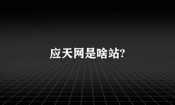 应天网是啥站?