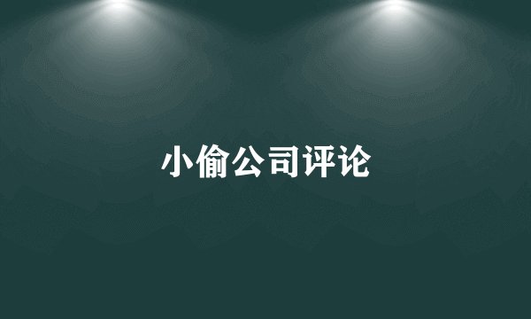 小偷公司评论