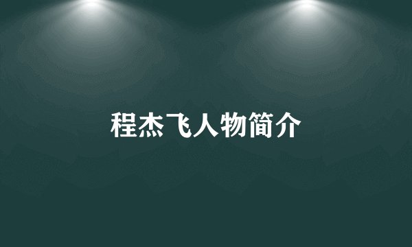 程杰飞人物简介