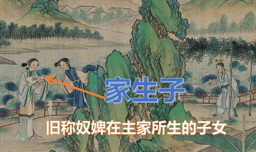 家生子是什么意思