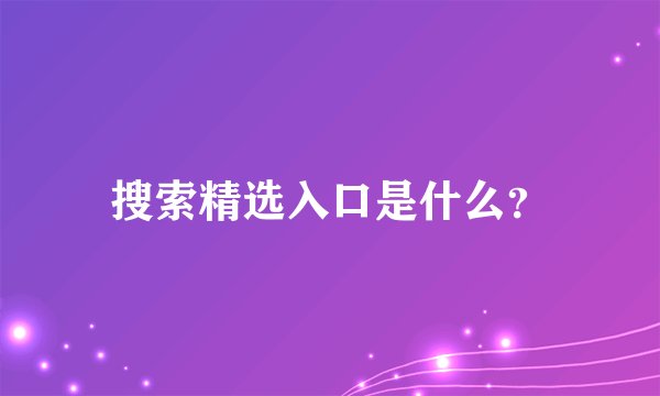 搜索精选入口是什么？