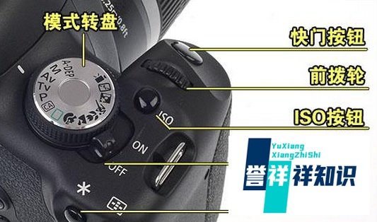 单反相机和普通相机的区别什么?