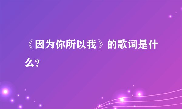 《因为你所以我》的歌词是什么？