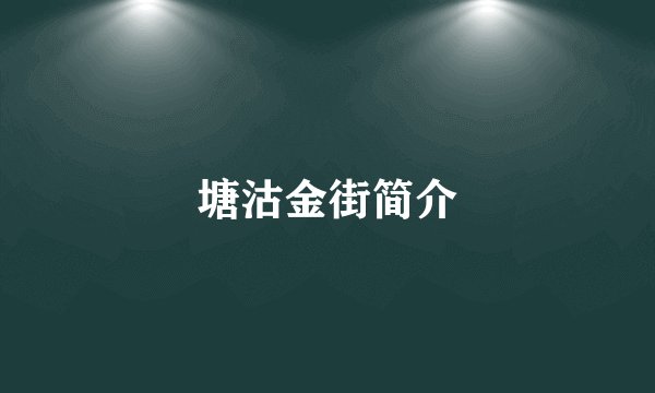 塘沽金街简介