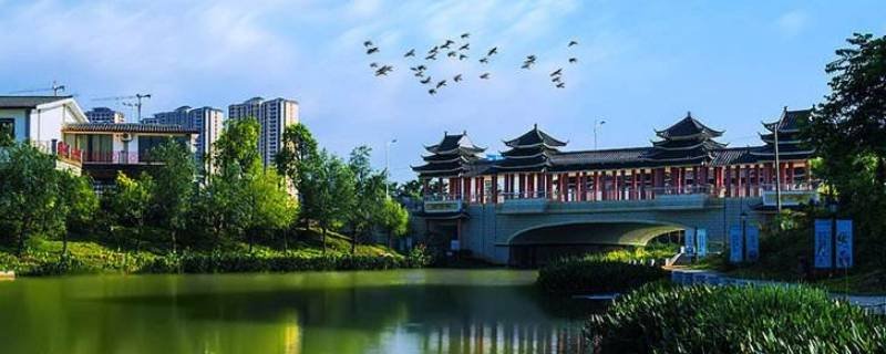 临水是哪个省的城市