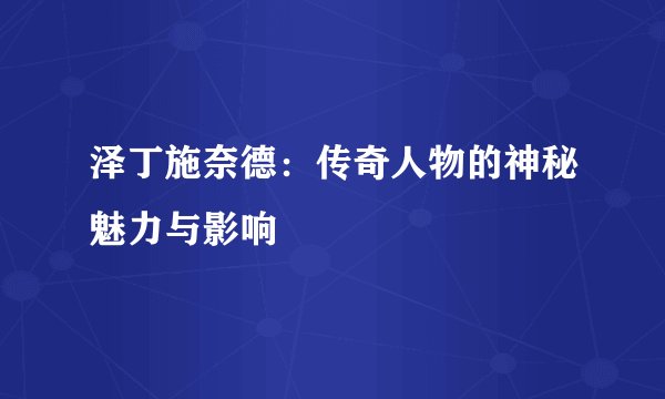 泽丁施奈德：传奇人物的神秘魅力与影响