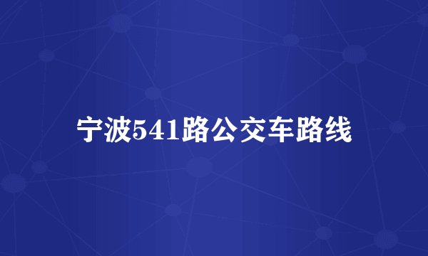 宁波541路公交车路线