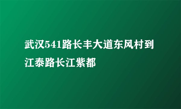 武汉541路长丰大道东风村到江泰路长江紫都