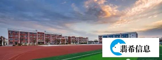 重磅!民办将转公办或停止办学:两年左右,再无国有民办小学初中
