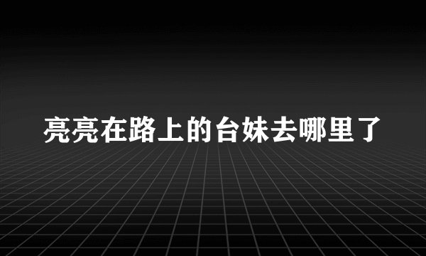 亮亮在路上的台妹去哪里了