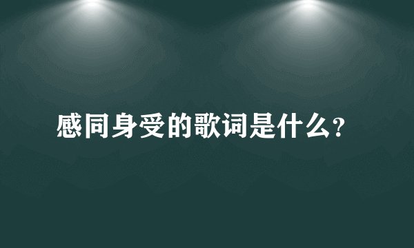 感同身受的歌词是什么？