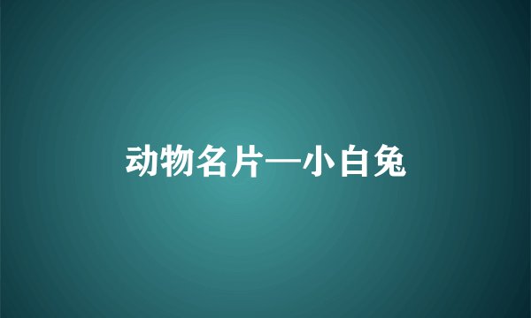 动物名片—小白兔