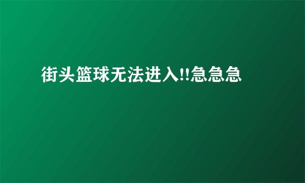 街头篮球无法进入!!急急急