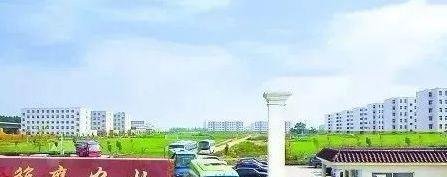 儿子拿冠军,父亲41亿元的股票被冻结