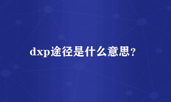 dxp途径是什么意思？