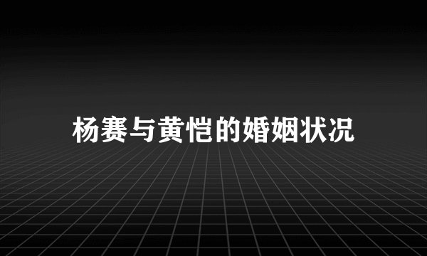 杨赛与黄恺的婚姻状况