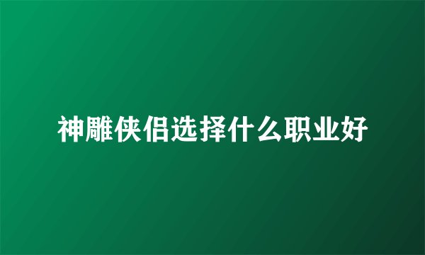 神雕侠侣选择什么职业好