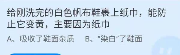 蚂蚁庄园11月11日答案最新
