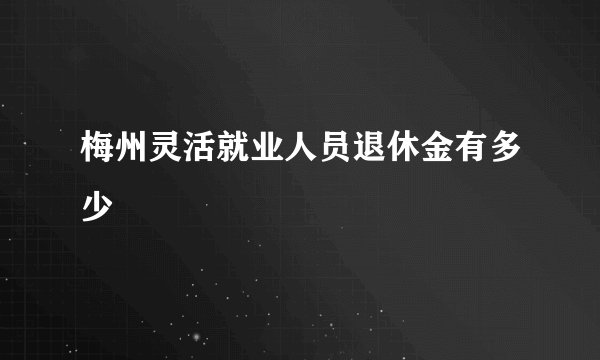 梅州灵活就业人员退休金有多少