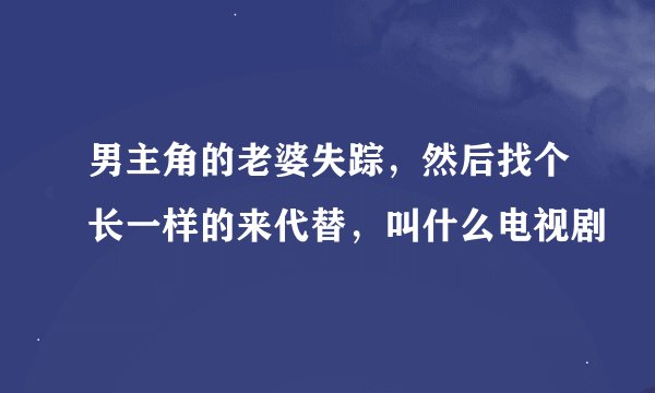 男主角的老婆失踪，然后找个长一样的来代替，叫什么电视剧