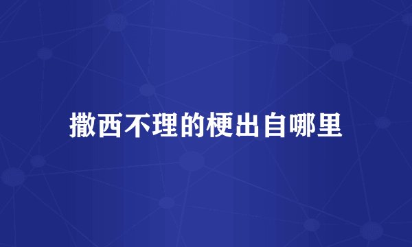 撒西不理的梗出自哪里