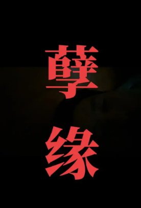 彭丹《孽缘2》剧情解析