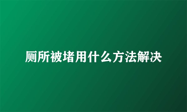 厕所被堵用什么方法解决