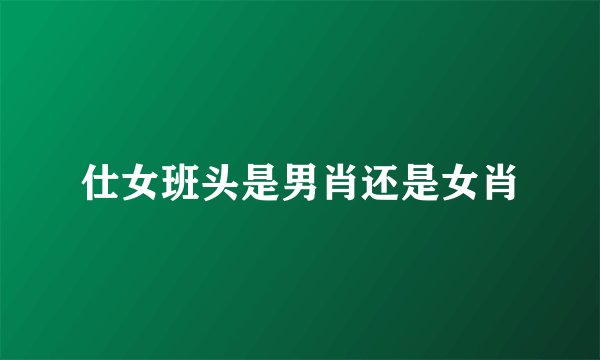仕女班头是男肖还是女肖