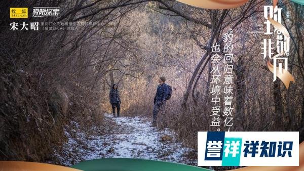 致敬非凡|猫盟宋大昭:守护华北豹的北国之约