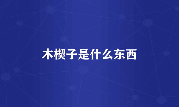 木楔子是什么东西