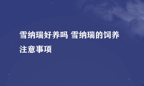 雪纳瑞好养吗 雪纳瑞的饲养注意事项